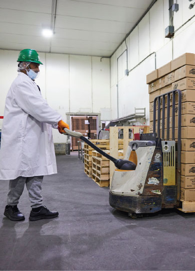 Warehouse & Logistics operator